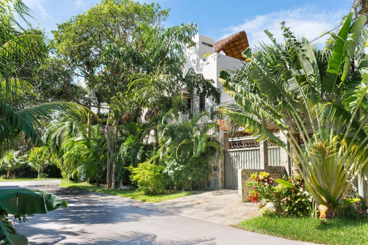 Alamos Inn Hotel Con Jacuzzi Y Piscina Cancún Eksteriør bilde